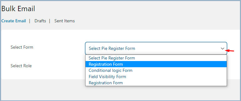 Select Bulkemail Form